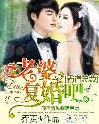 霸道總裁:老婆復婚吧