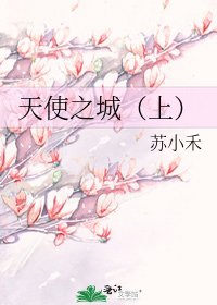 天使之城（上）